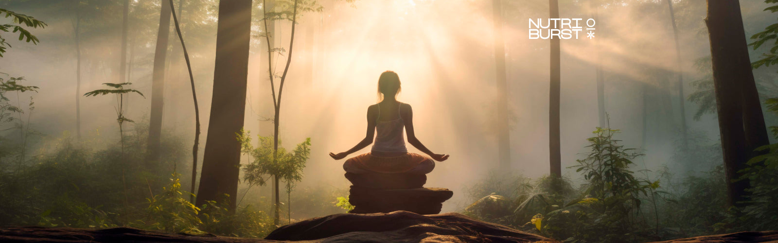 Holistic Path Embracing the Holistic Wellness Path – Nutriburstindia