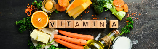 The Role of Vitamin A in Maintaining Healthy Vision – Blog